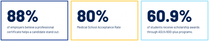 screenshot of the stat block content layout with the bordered option applied