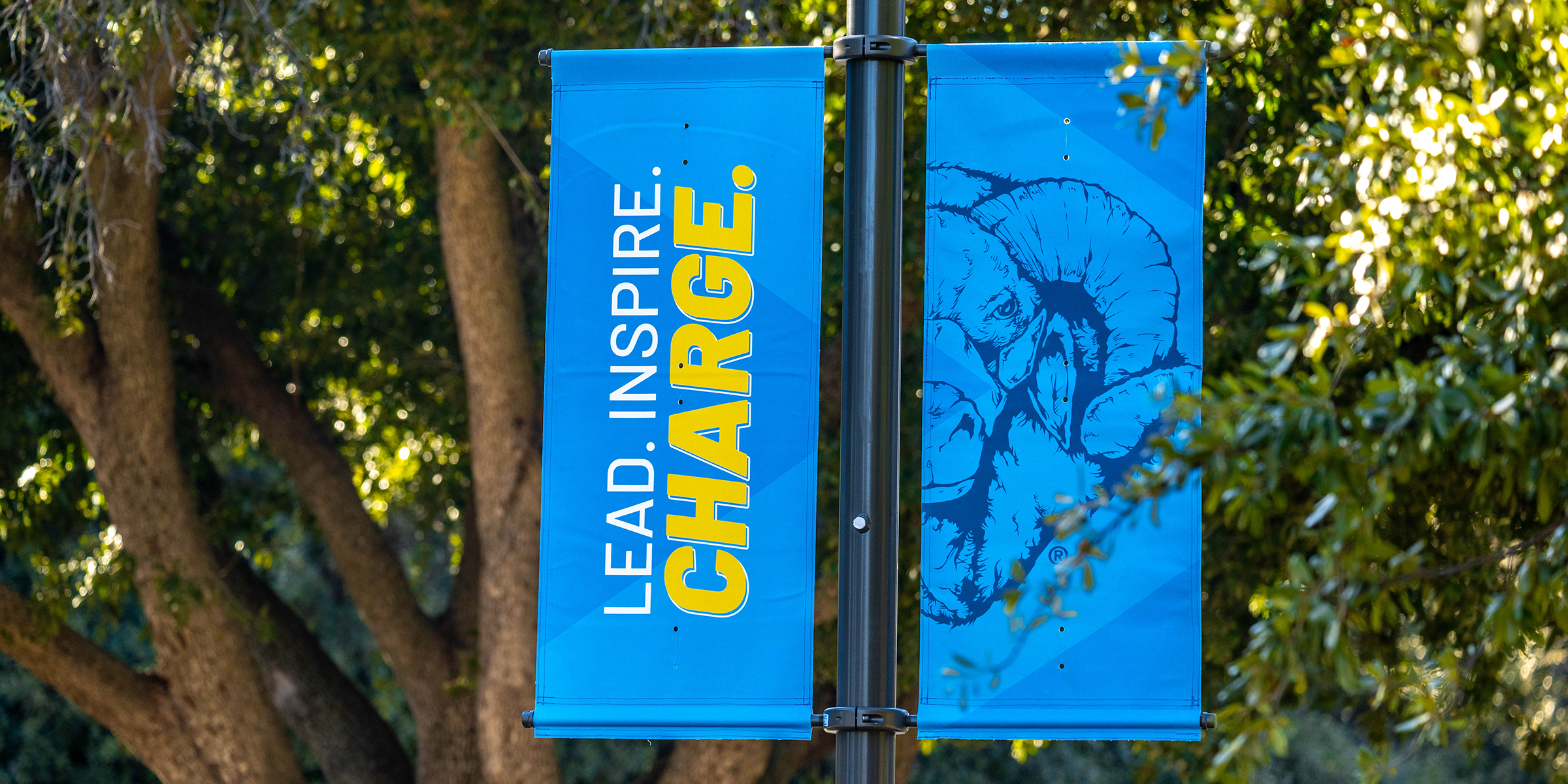 Angelo State Leading the Charge banner on outdoor light pole