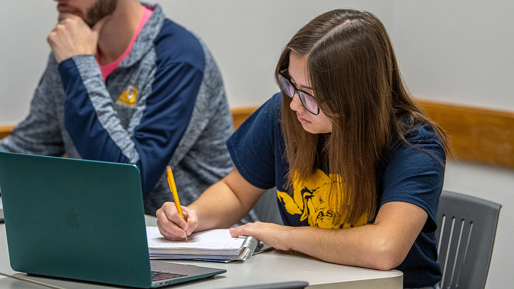 Students working in the Porter Henderson Library
