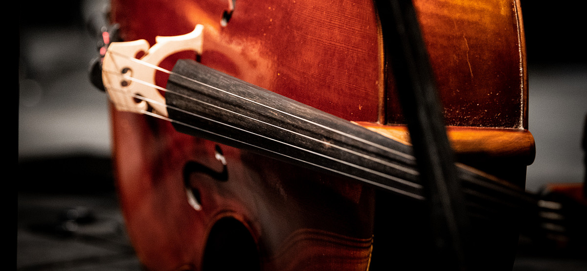 symphony 2977 violin