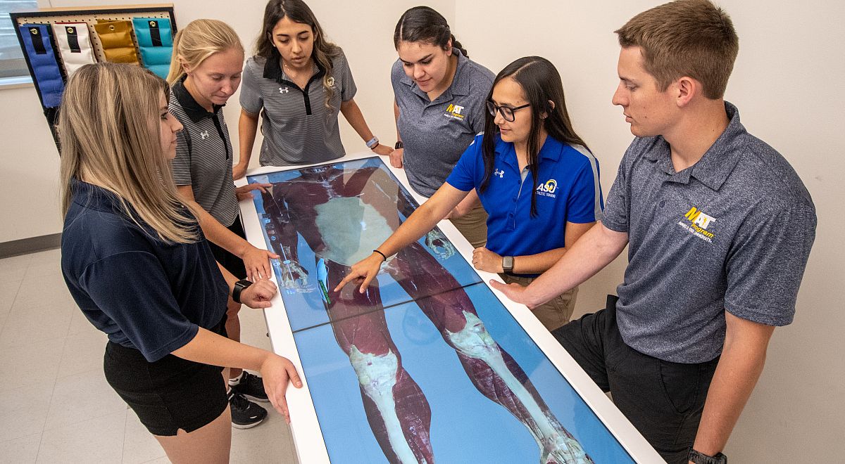 Athletic training students looking using a simulator to study the body