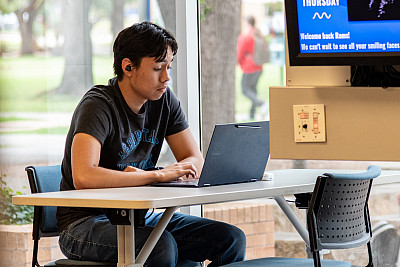 Students studying in the library.