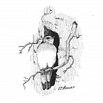Stotic Bird Near Tree