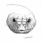 Angry Snake