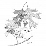 Sleepy bird on Twig with Oak Leaves